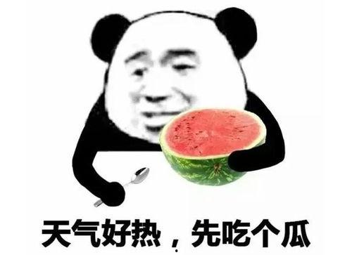 吃瓜表情表示什么,揭秘网络社交中的趣味与内涵